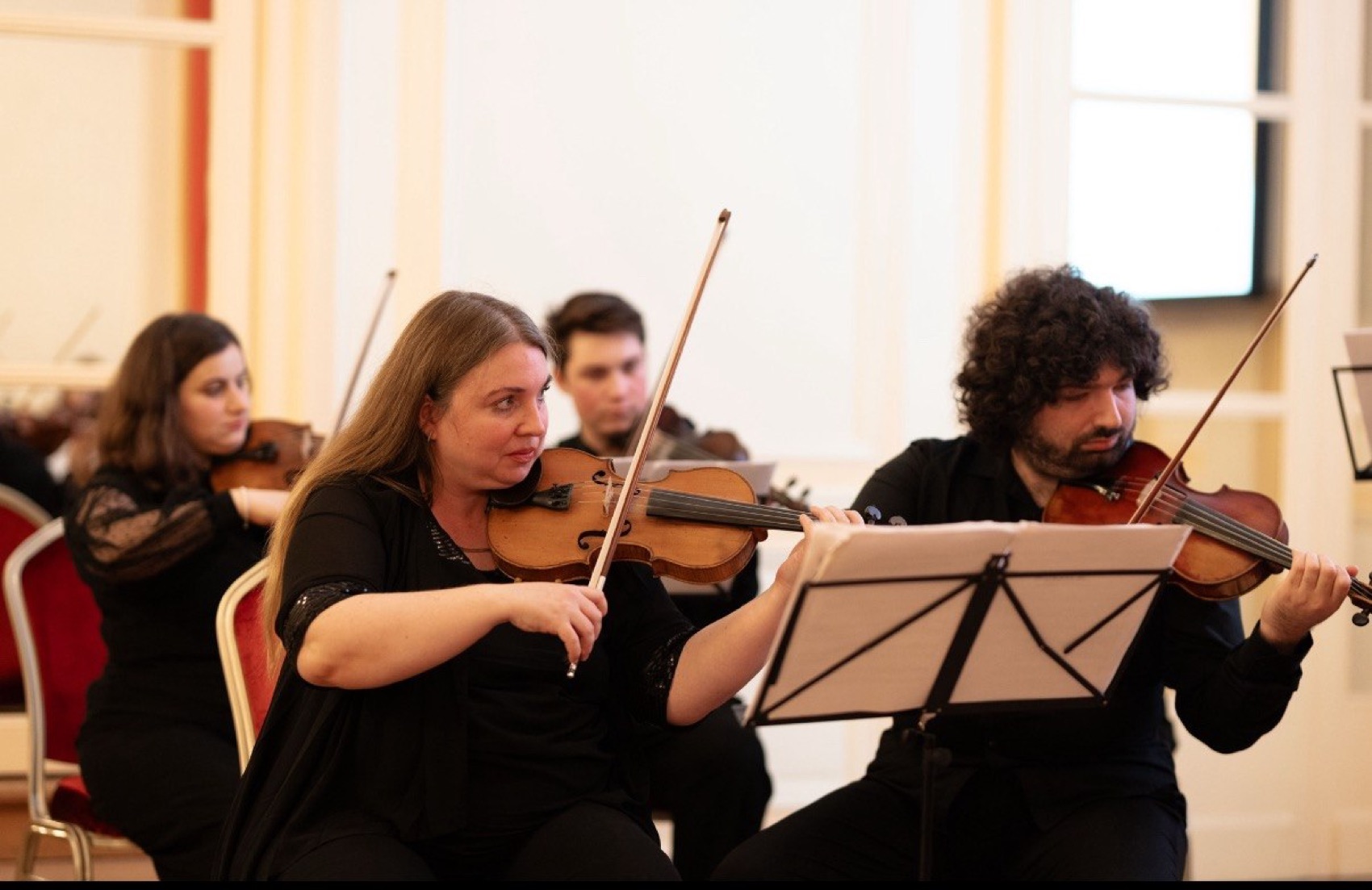 Pupitre de violons en concert